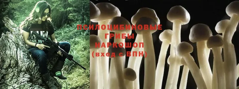 Галлюциногенные грибы Magic Shrooms  Аксай 